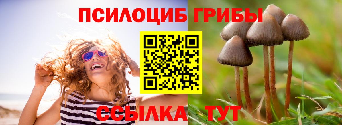 Псилоцибиновые грибы мухоморы Воскресенск